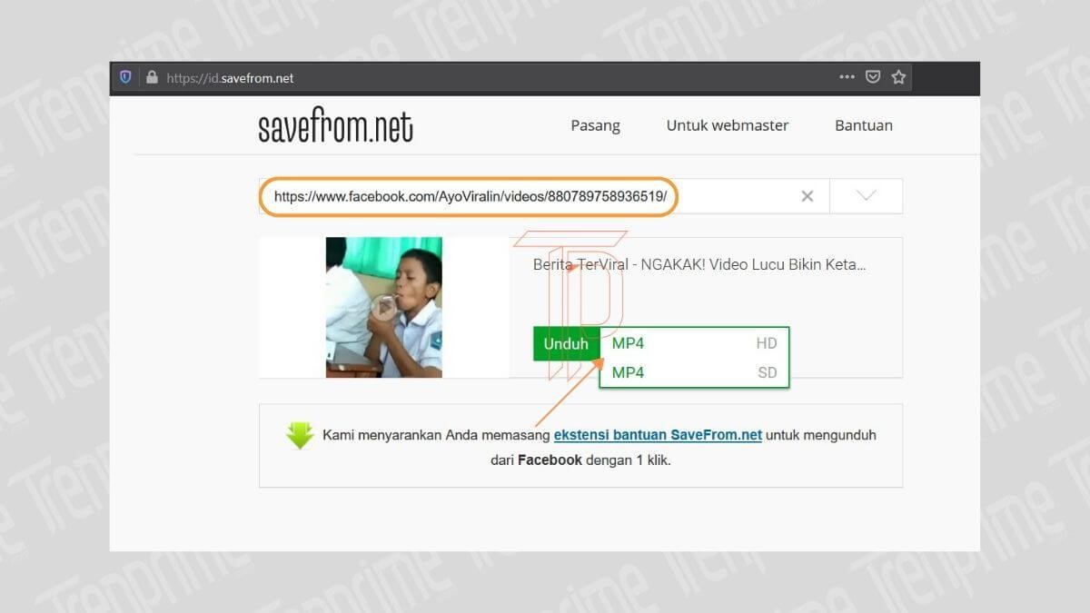 Https savefrom net 240. Savefrom Facebook photo. Cara download.