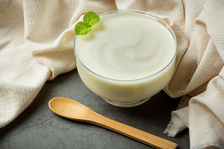 cara membuat yoghurt dengan susu uht